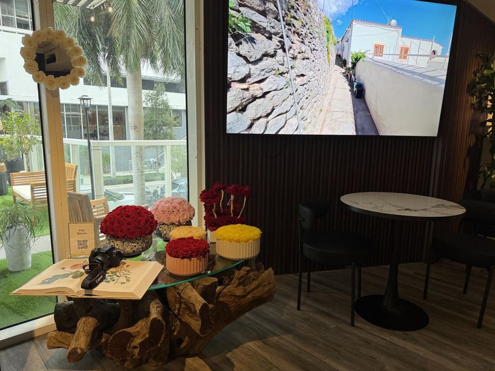Hospitality: Café, interiors